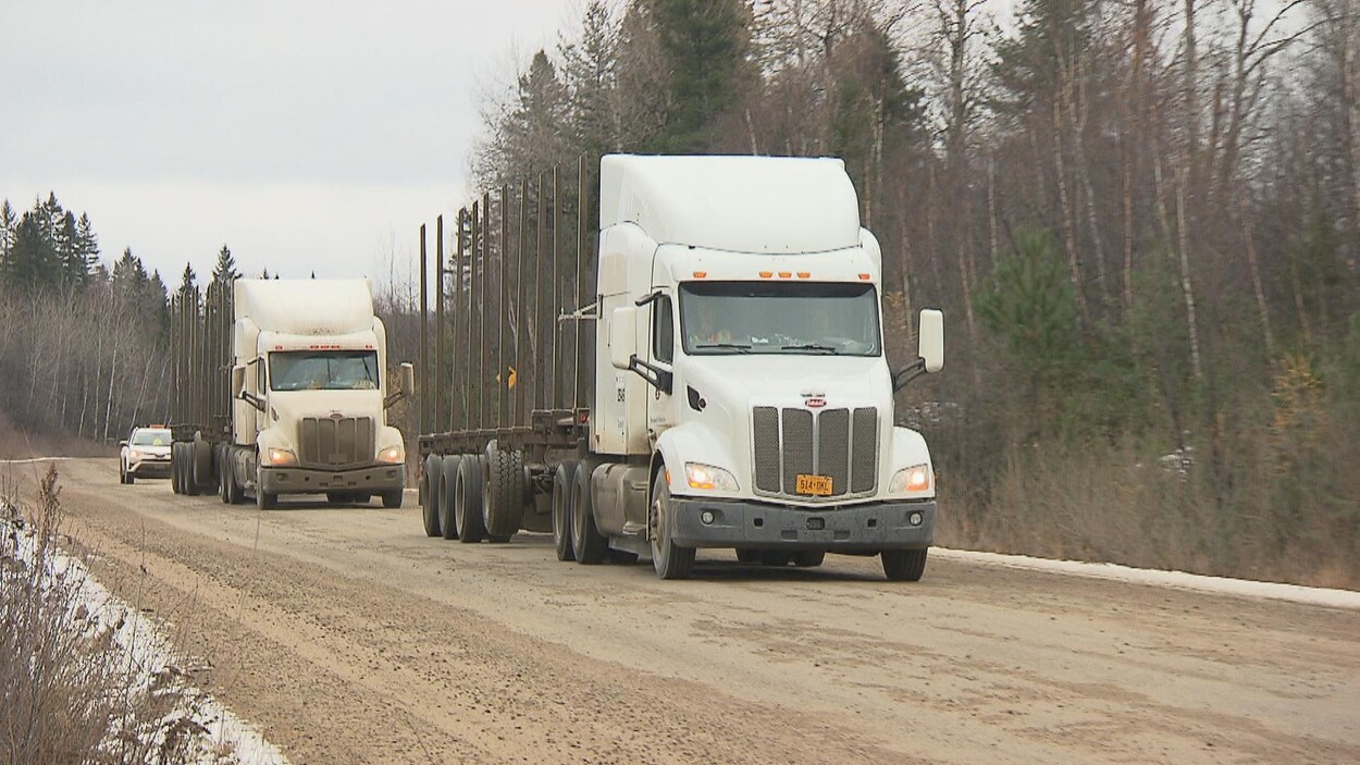 Deux camions se suivent sur un chemin forestier