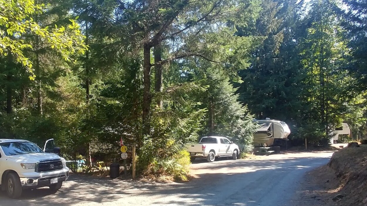 Des camionnettes et des caravanes sont garées sur des emplacements de camping sous les arbres.