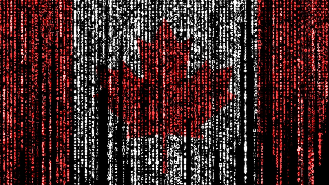 Indian hackers attack army and parliament sites |  Tensions between India and Canada