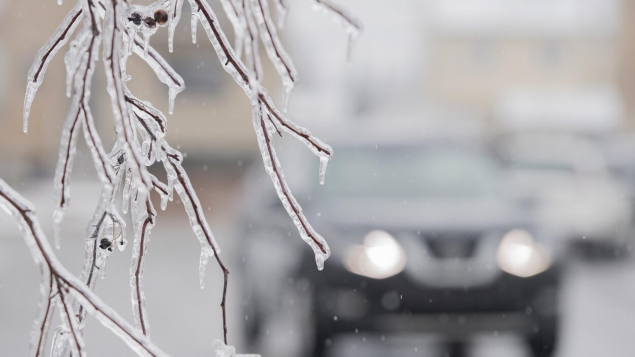 Une branche gelée avec une voiture en arrière plan.