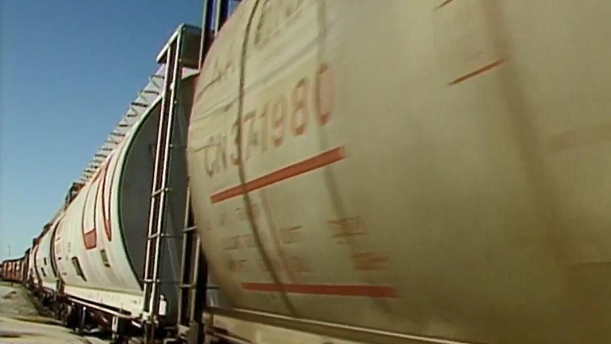 Des wagons du Canadien National