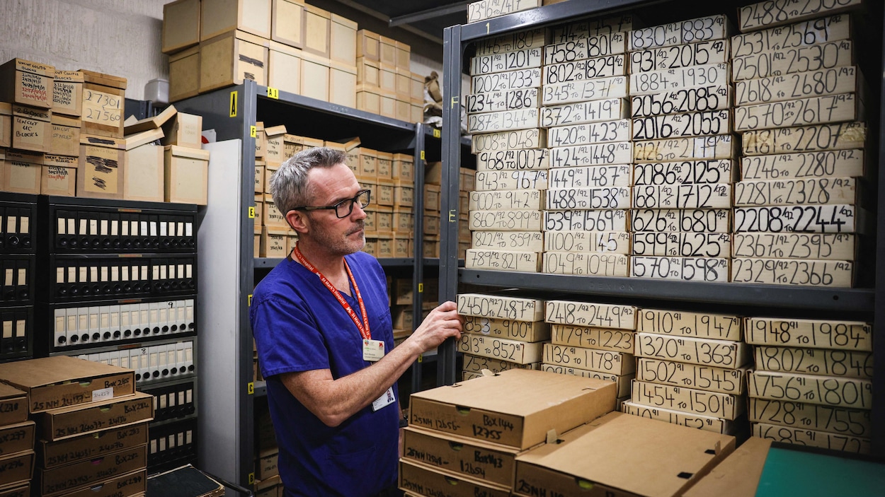 Des tumeurs de 1960 pour comprendre la hausse des cas de cancer colorectal chez les jeunes