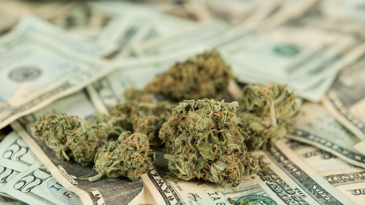 De la marijuana sur des billets. De la marijuana sur des billets.