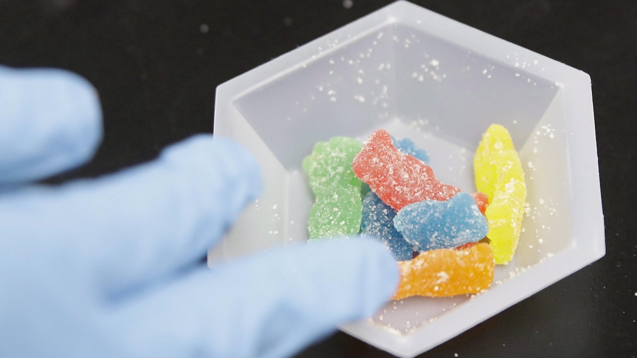 Des bonbons en forme d'ourson enrobés de sucre.