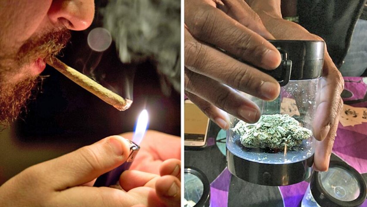 L'usage de la marijuana à des fins personnelles et récréatives est devenu légal à Washington dans le cadre d'un référendum en 2014. La possession, la culture et le don de cannabis aux adultes ont été autorités. L'usage de la marijuana à des fins personnelles et récréatives est devenu légal à Washington dans le cadre d'un référendum en 2014. La possession, la culture et le don de cannabis aux adultes ont été autorités.
