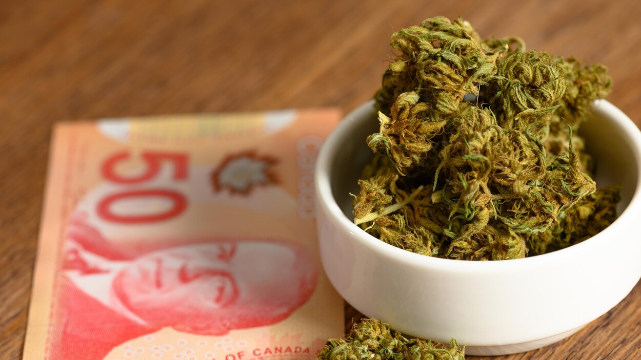 Du cannabis dans un petit bol près d'un billet de 50 dollars canadien.