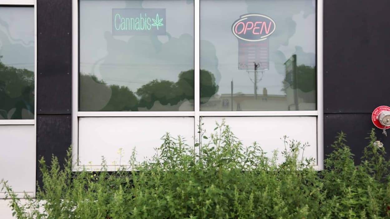 Les magasins de cannabis ne cacheront plus leurs vitrines