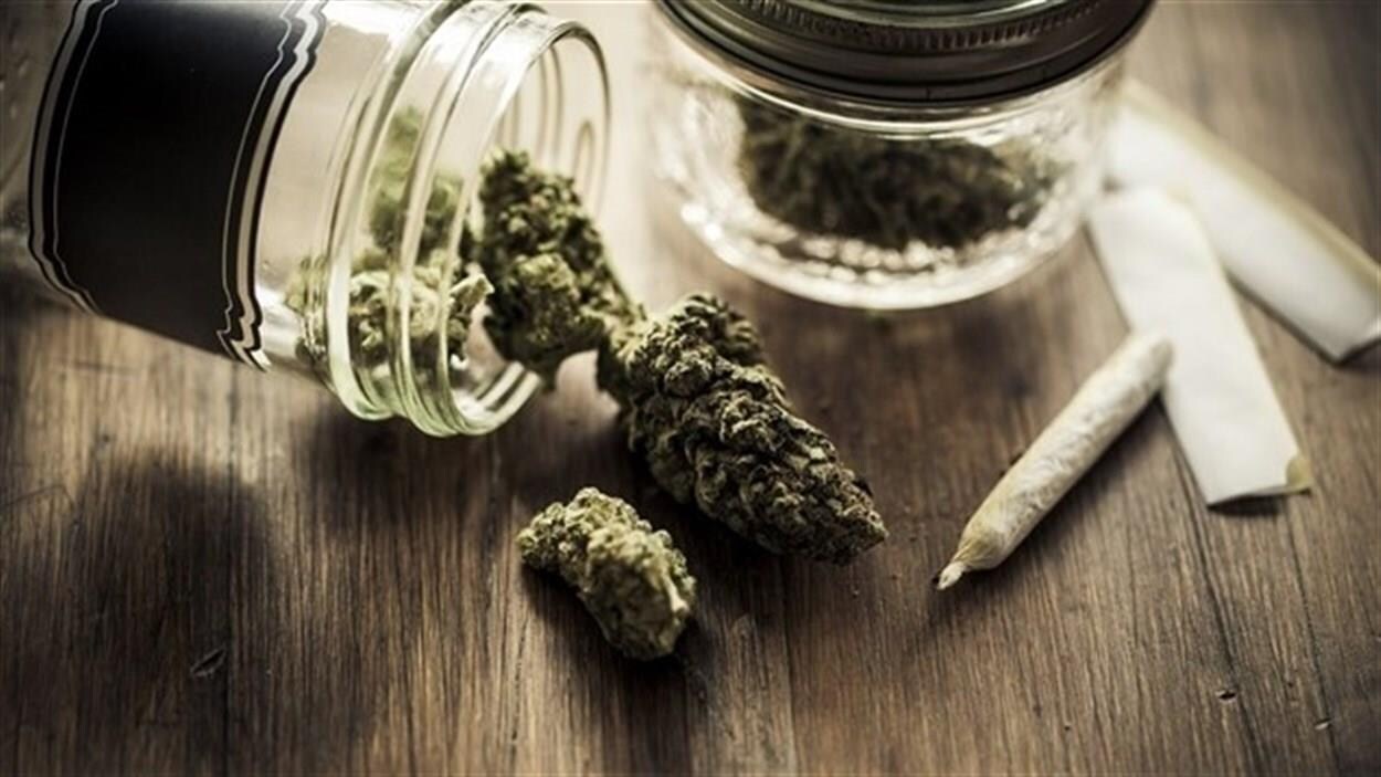 De la marijuana est versée sur une table, à côté d'une cigarette De la marijuana est versée sur une table, à côté d'une cigarette