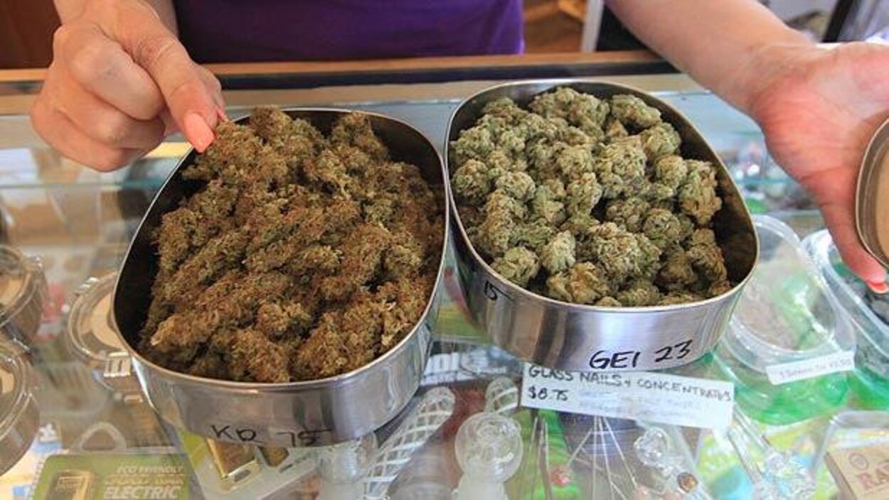 Des plats de métal contenant de la marijuana Des plats de métal contenant de la marijuana
