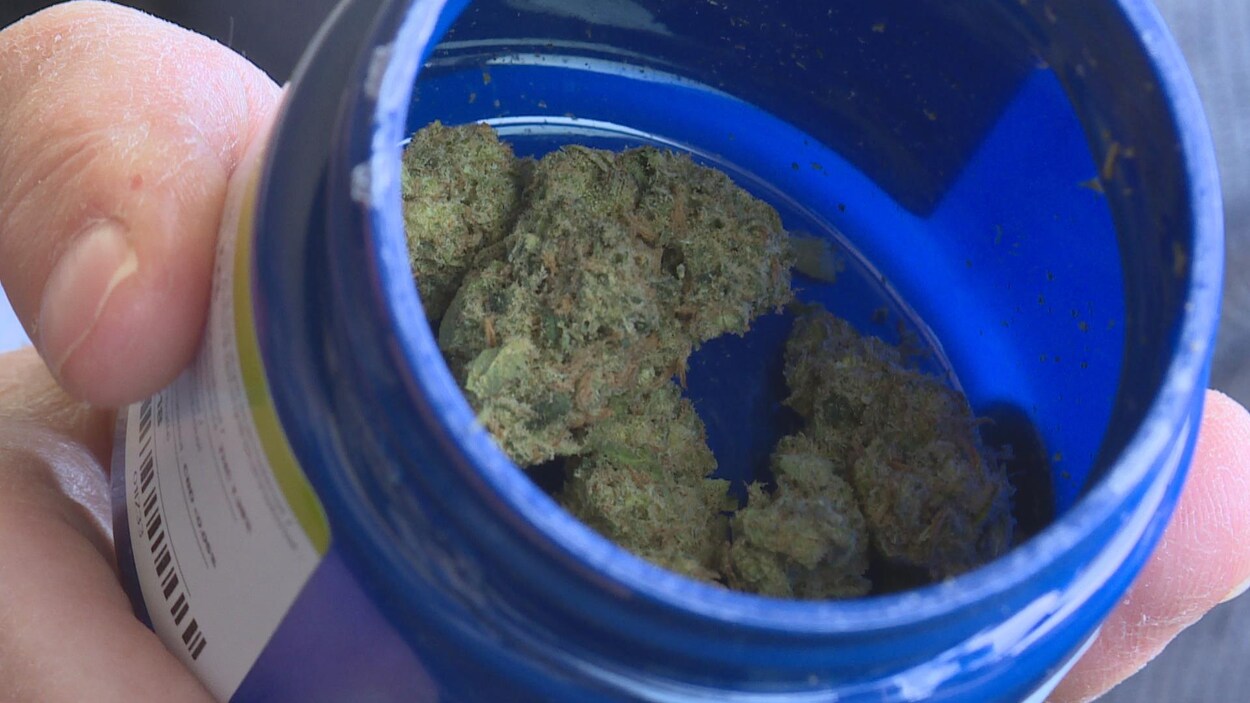 Une boîte de cannabis médicinal ouverte avec de l'herbe à l'intérieur.