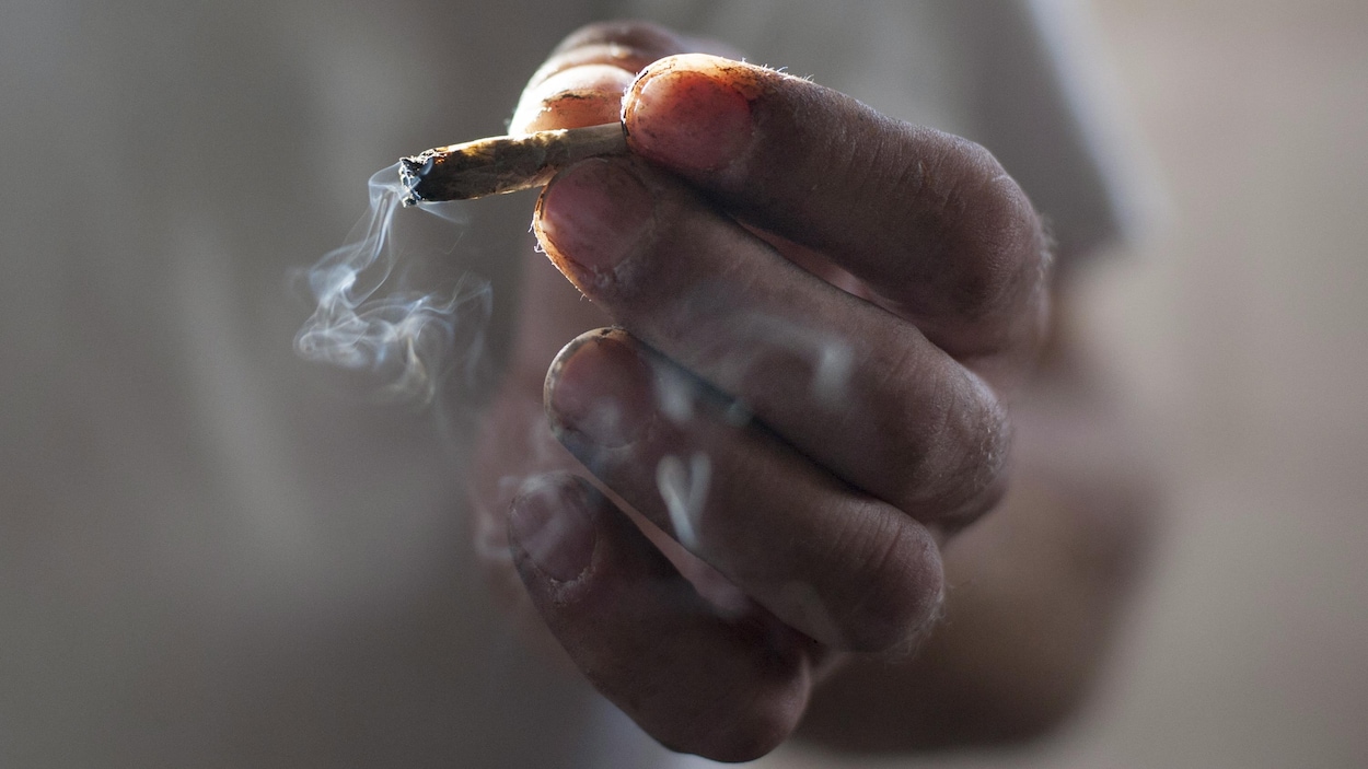 Cannabis Marijuana à Usage Médical Accessoires Pour Fumeurs Weed Blunt Avec  Vue De Dessus De La Plante