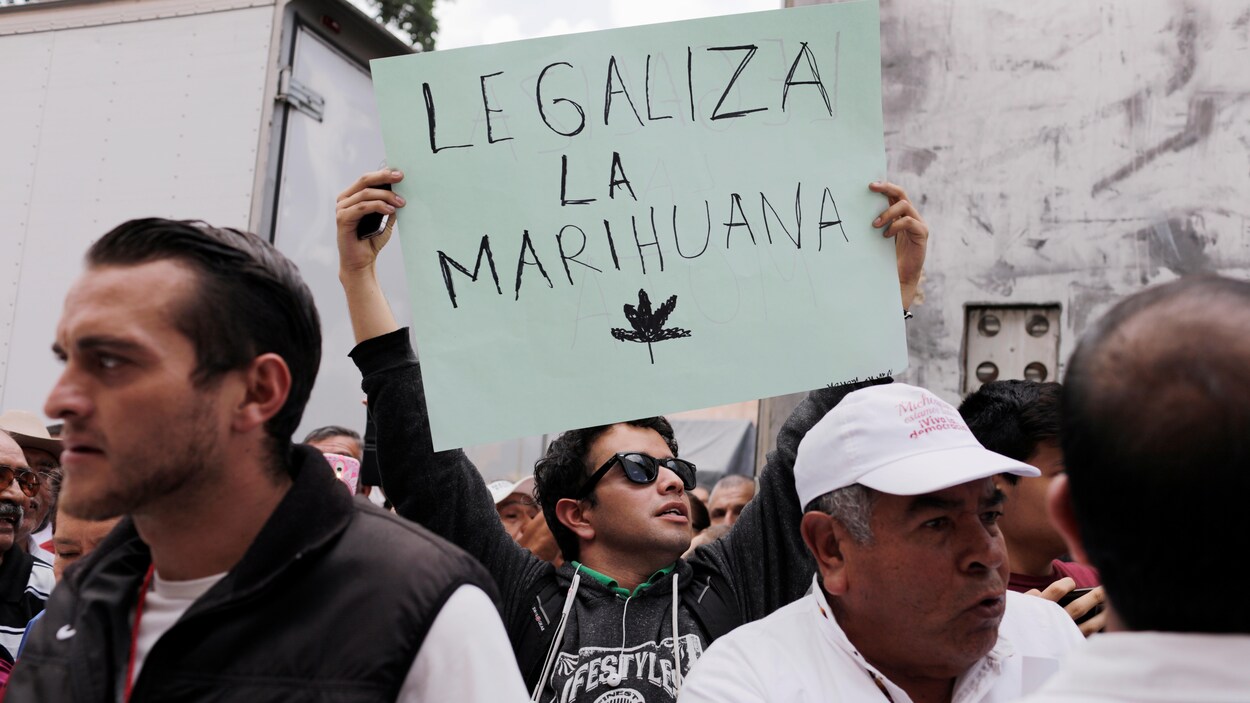 Un homme tient au bout de ses bras une pancarte sur laquelle on peut lire : « Légalisez la marijuana ».