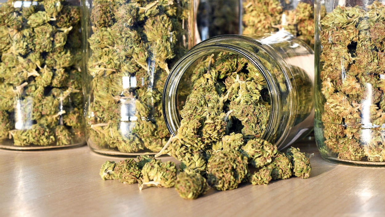 Cannabis dans un pot en verre. Cannabis dans un pot en verre.