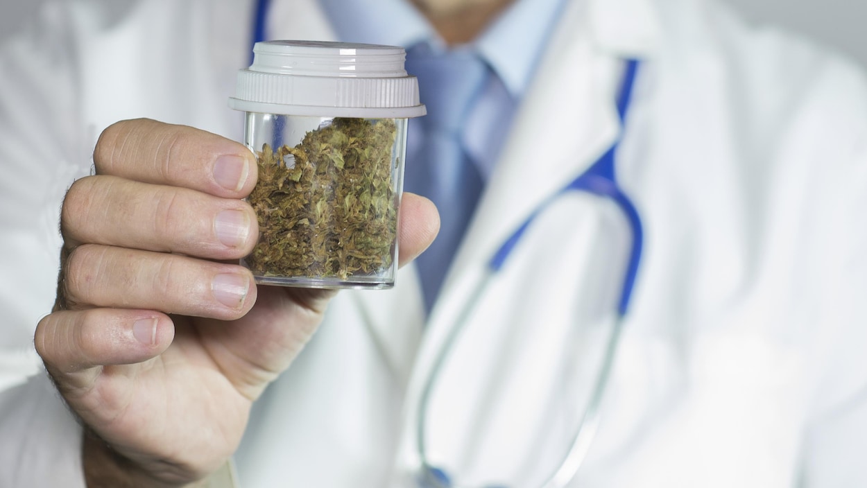 Médecin tenant un flacon contenant du cannabis séché.