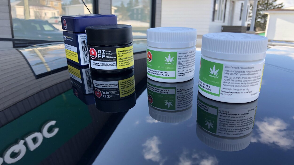 Quatre petits pots de plastique sont déposés sur le capot d'une voiture, devant la succursale de la SQDC de Grande-Rivière, en Gaspésie.