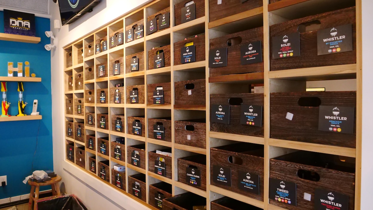 Des armoires contenant diverses sortes de cannabis.