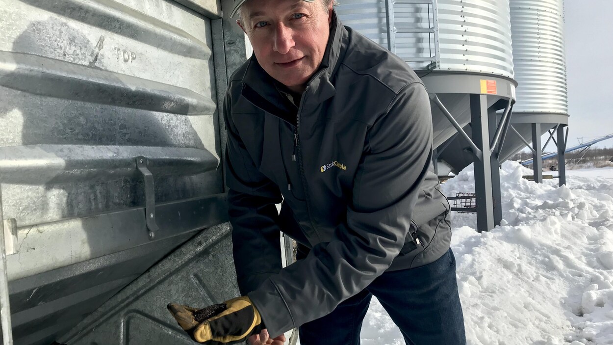 Gerry Hertz est montre des semences de canola.