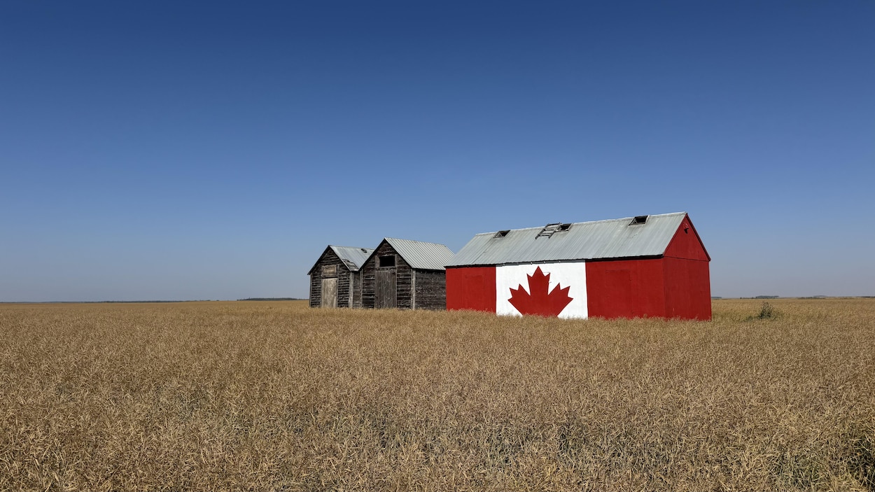 Les campagnes du « non » se multiplient en Alberta