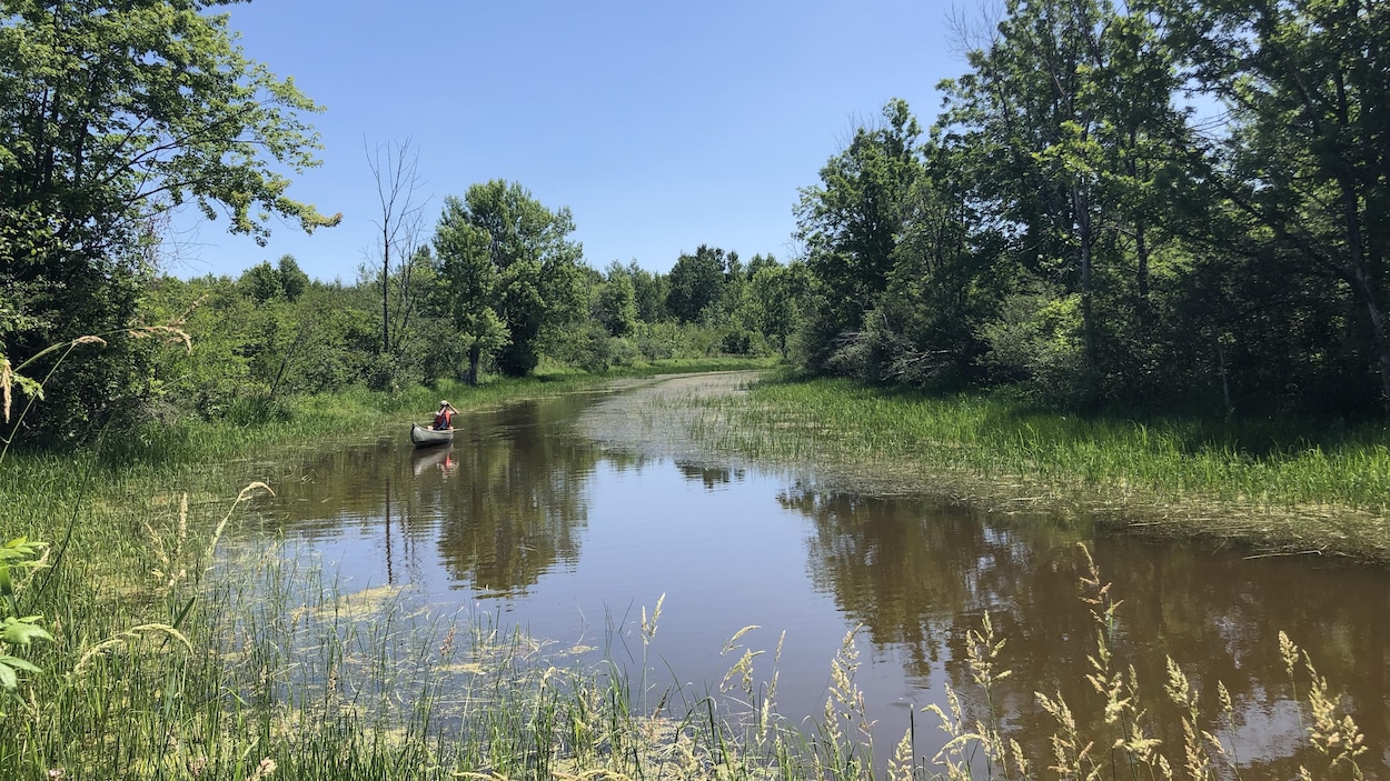 M. Toussaint se déplace en canot dans le cours d'eau.