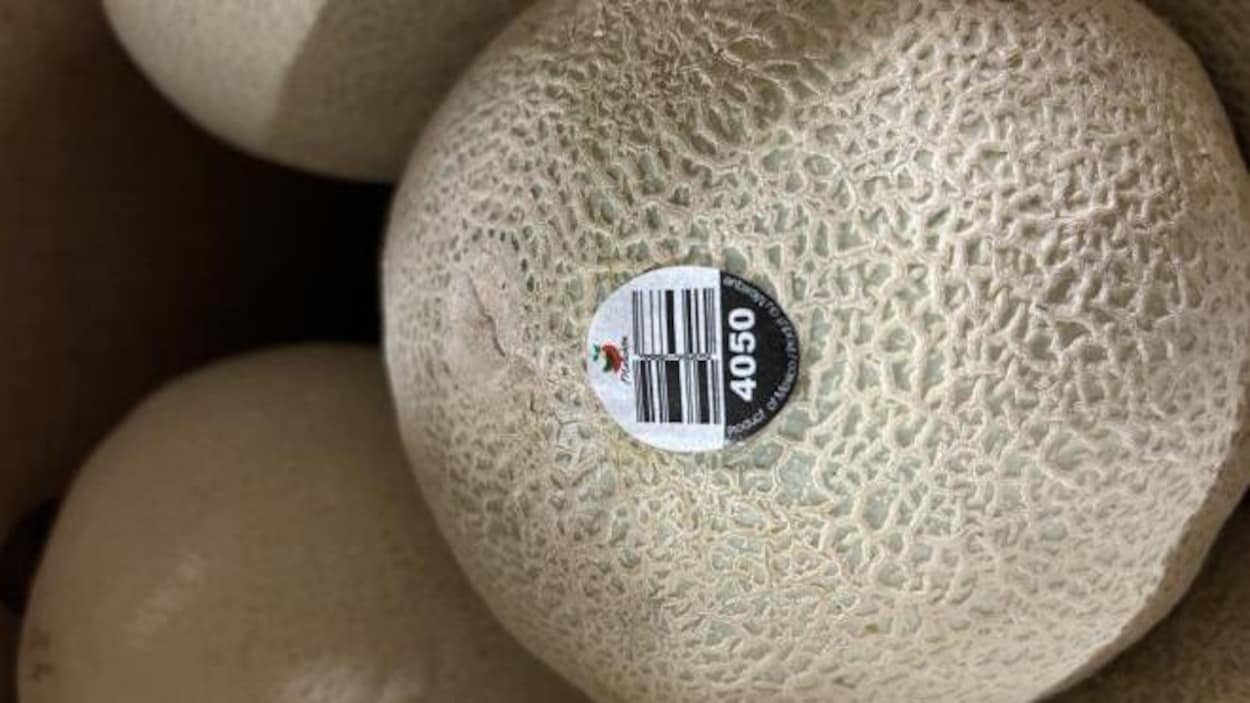 The cantaloupe-related salmonellosis outbreak has now killed five people across the country