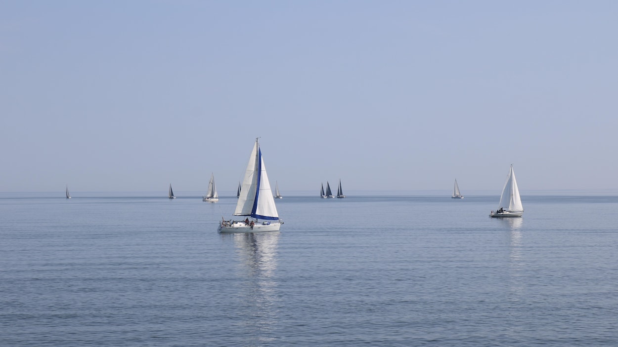 On assiste au départ d’une grande course de voiliers