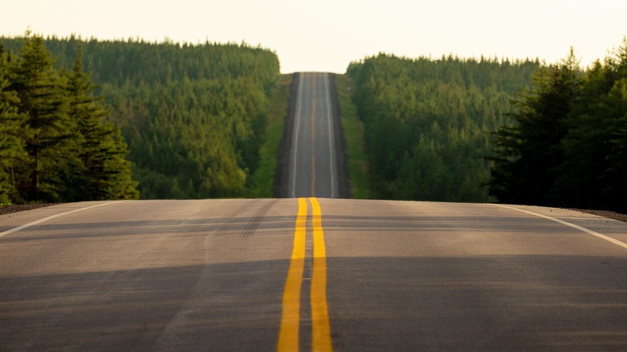 Une route rurale au Cap-Breton.