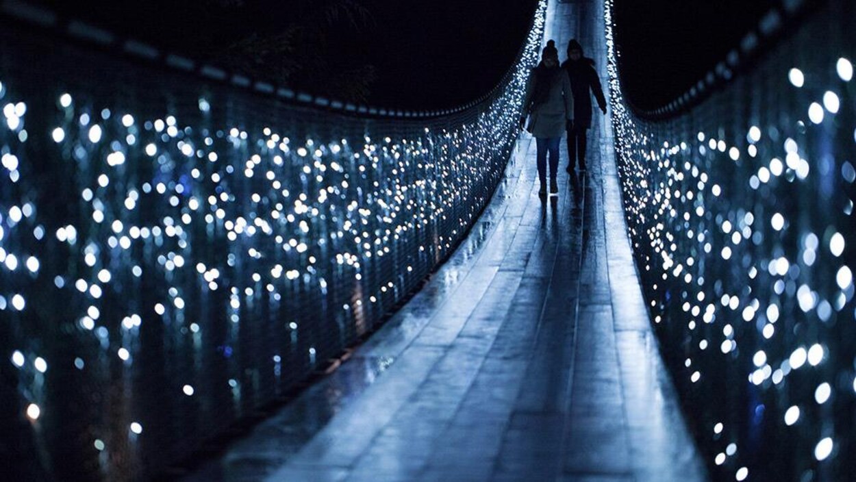 Les couleurs des lumières sont froides et sobres. Les couleurs des lumières sont froides et sobres.