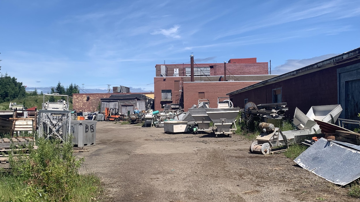 « De légères contaminations » du terrain de Carapro ne brisent pas les rêves de Caraquet