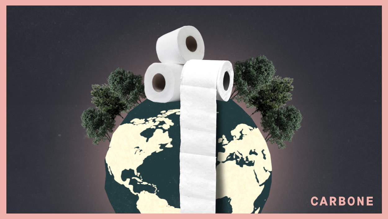 Des rouleaux de papier toilette sur une représentation de la Terre.