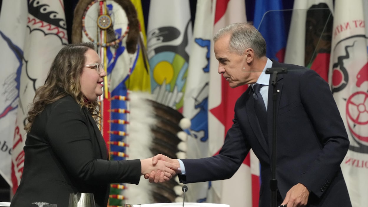 Les chefs régionaux de l’APN rencontreront Carney et les premiers ministres