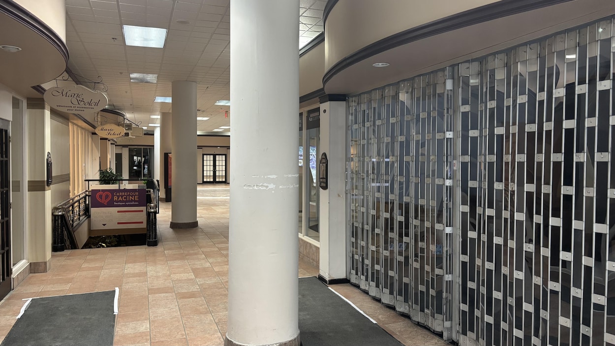 Saguenay cherche des investisseurs pour deux de ses immeubles commerciaux