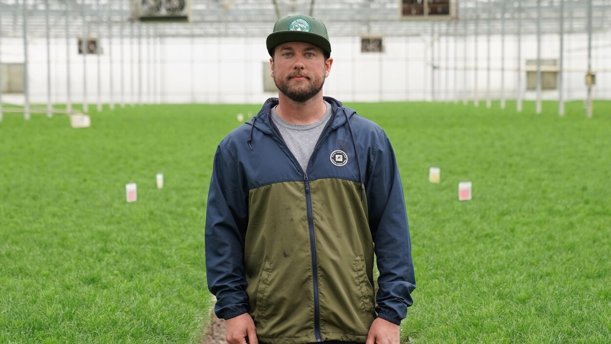 L’industrie des serres, nerveuse face au prix du gaz naturel RadioCanada