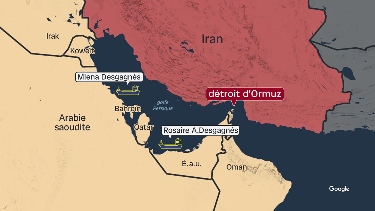 Les stagiaires de l’IMQ coincés au Moyen-Orient sont rapatriés
