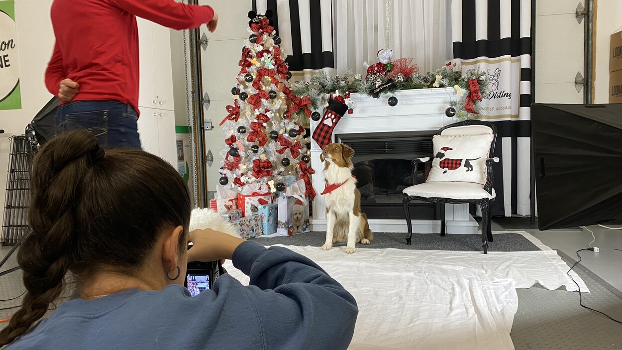 Une photographe prend un chien en photo.