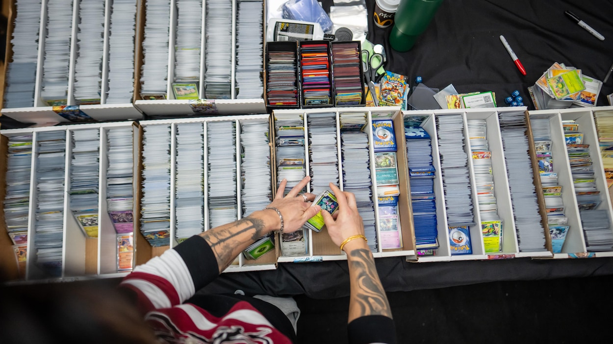 La police arrête un suspect pour vol de cartes Pokémon