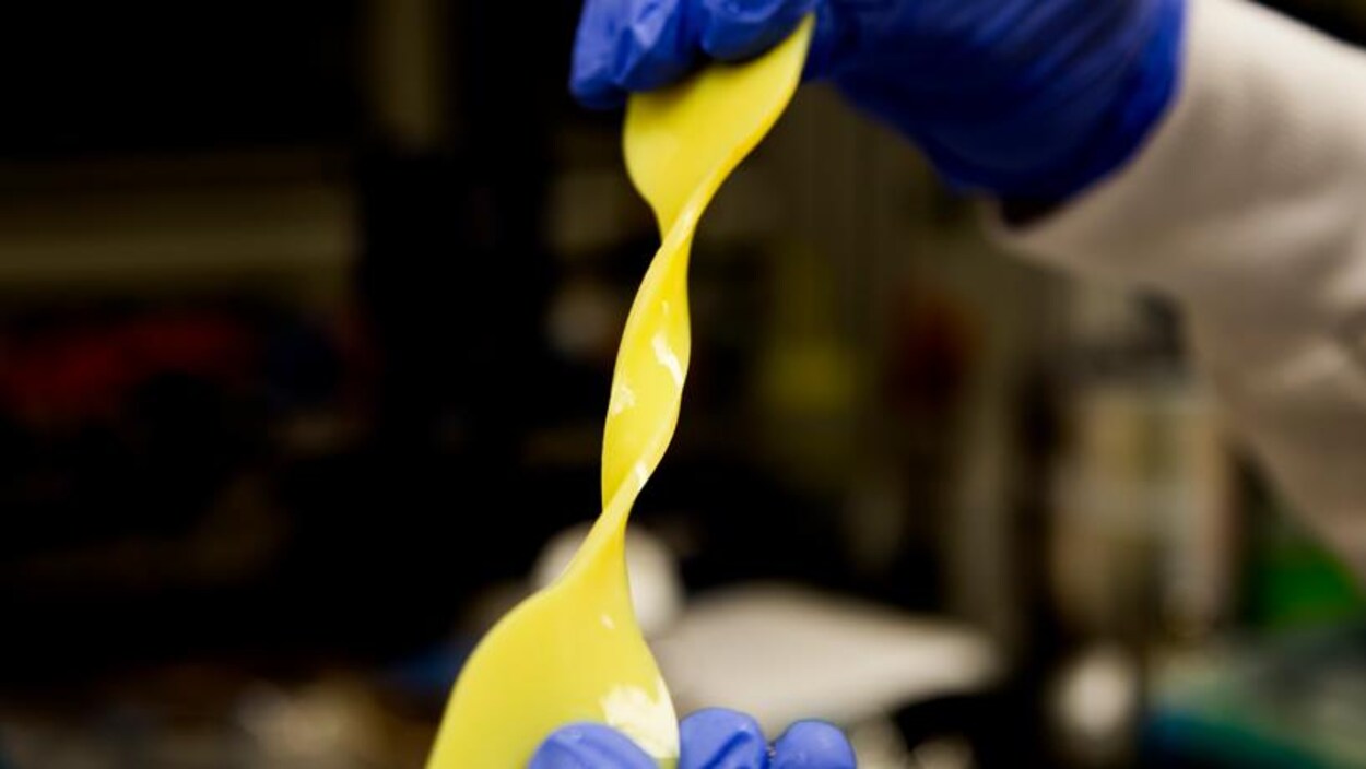 Le cartilage artificiel est fabriqué principalement à partir d'eau. Il est solide et résistant aux déchirures.