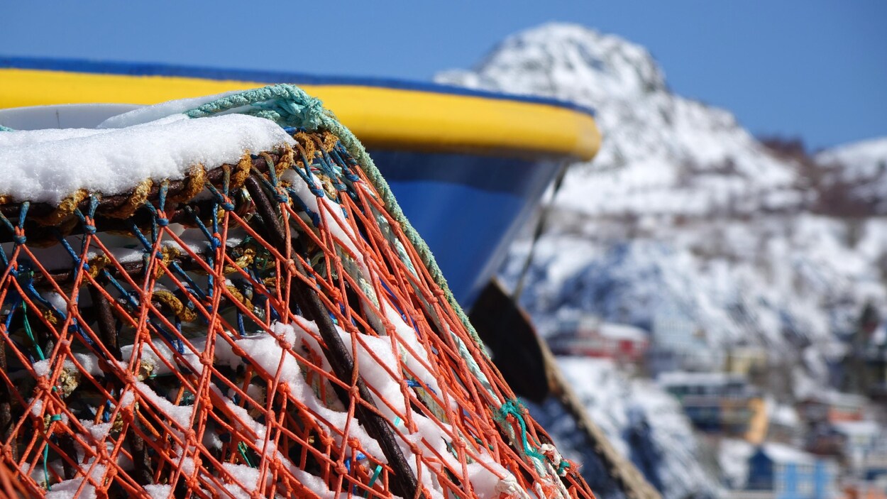 Le prix de la livre du crabe des neiges fixé à 5,30 $ à T.-N.-L.
