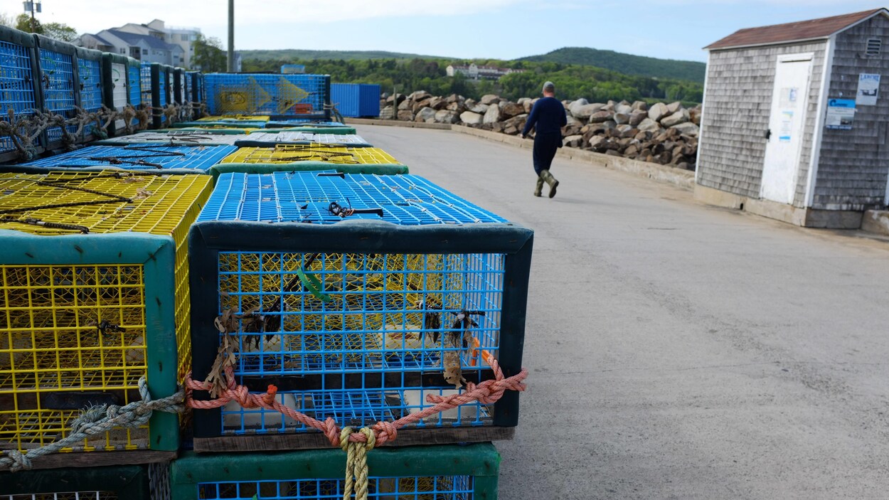Des casiers à homard.