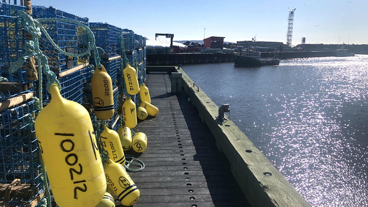 Des bouées sont accrochées sur chacun des casiers à homards empilés sur un quai.