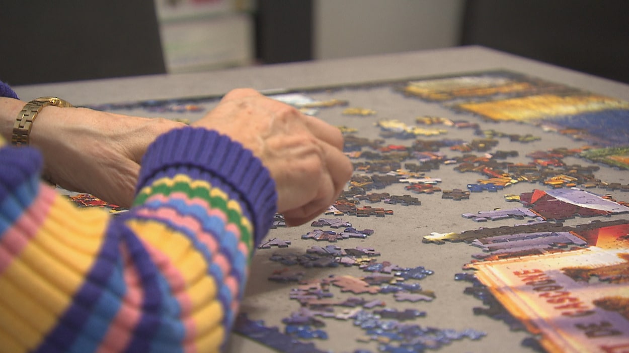 Un intérêt grandissant pour un projet de gériatrie sociale en Estrie