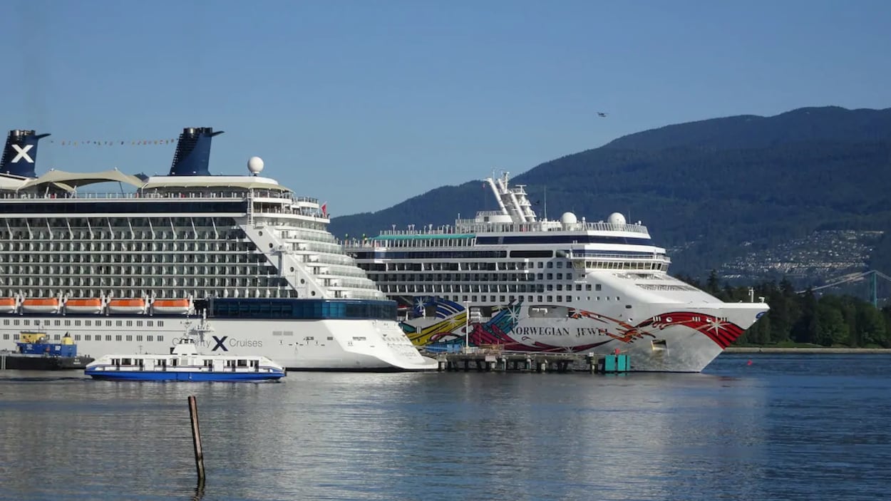 Deux grands bateaux de croisière flottent devant une montagne.