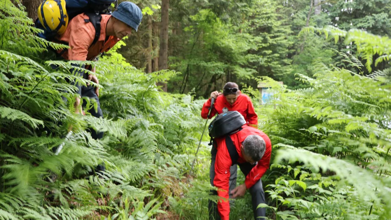 Deux hommes et une femme à la recherche de pistes de gens perdus.