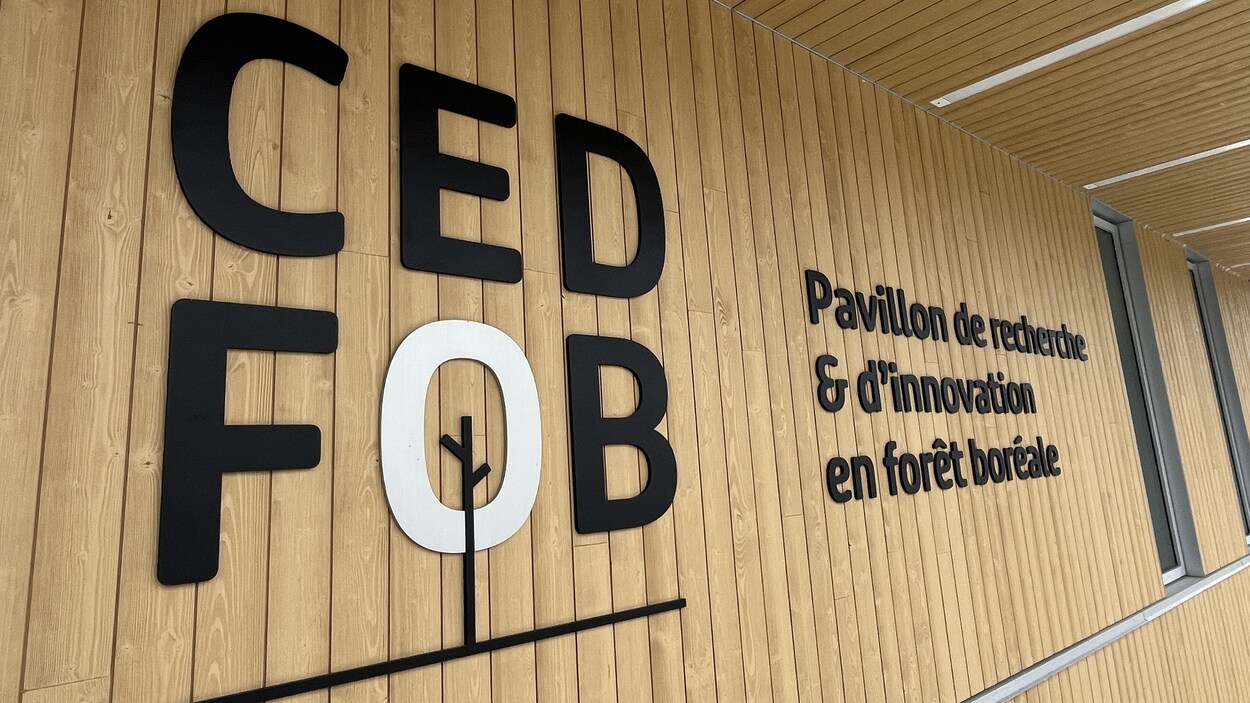 Impact sur les PME côtières : Les compressions budgétaires affectent l'innovation forestière au Québec