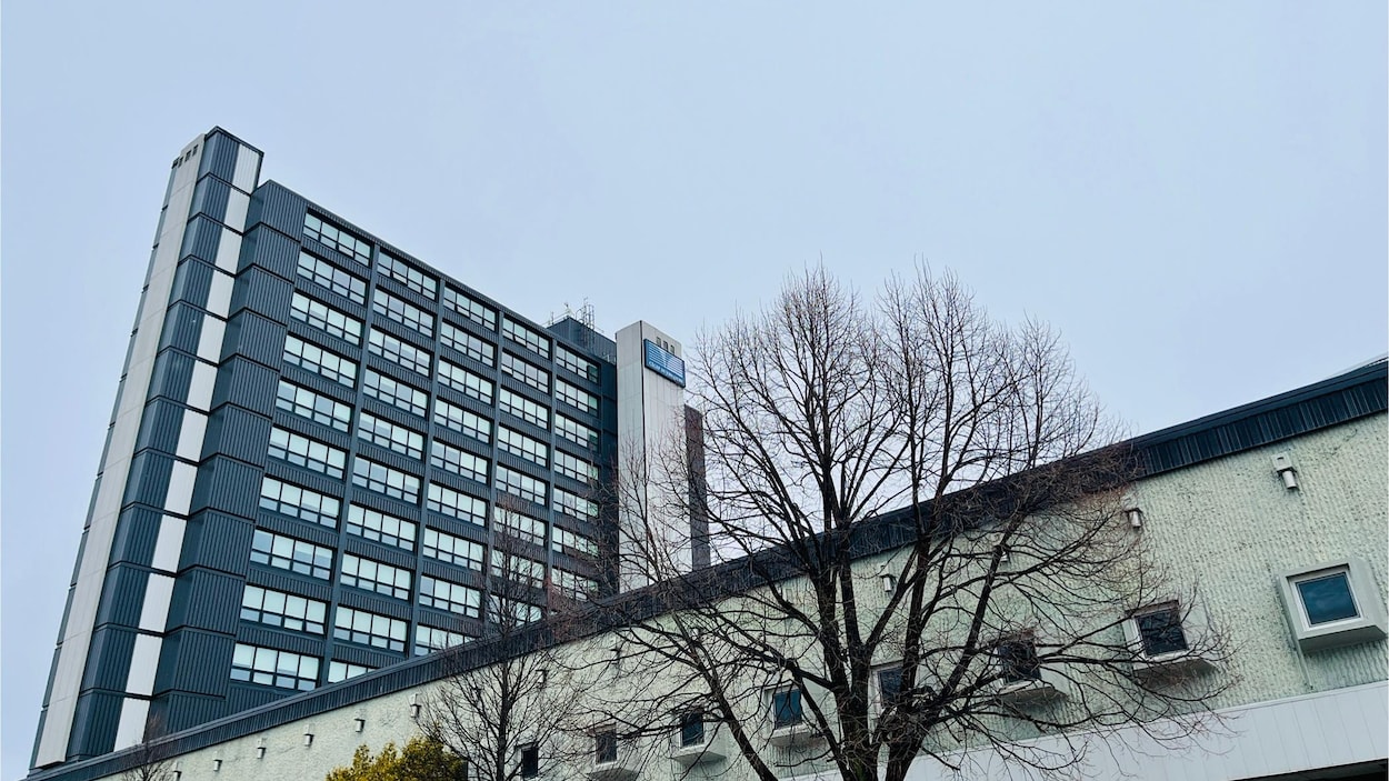 Les cégeps ont pâti du recrutement d’étudiants africains par des agences malveillantes