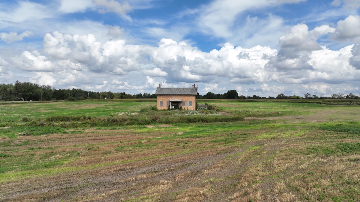 Ceinture de verdure : un ex-employé du bureau de Doug Ford a contrevenu à la loi