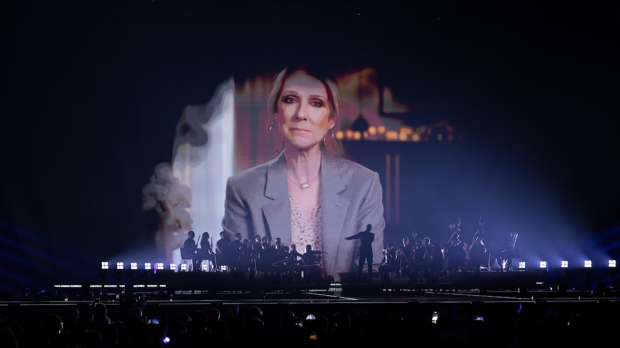 L’avion de Céline Dion aperçu à Bâle, où se tient le concours Eurovision