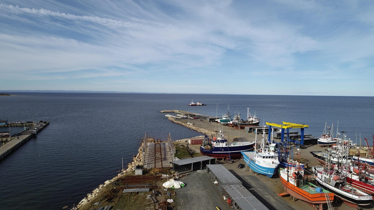 Vue aérienne du chantier naval montrant les quais et quelques bateaux stationnés sur la terre ferme.