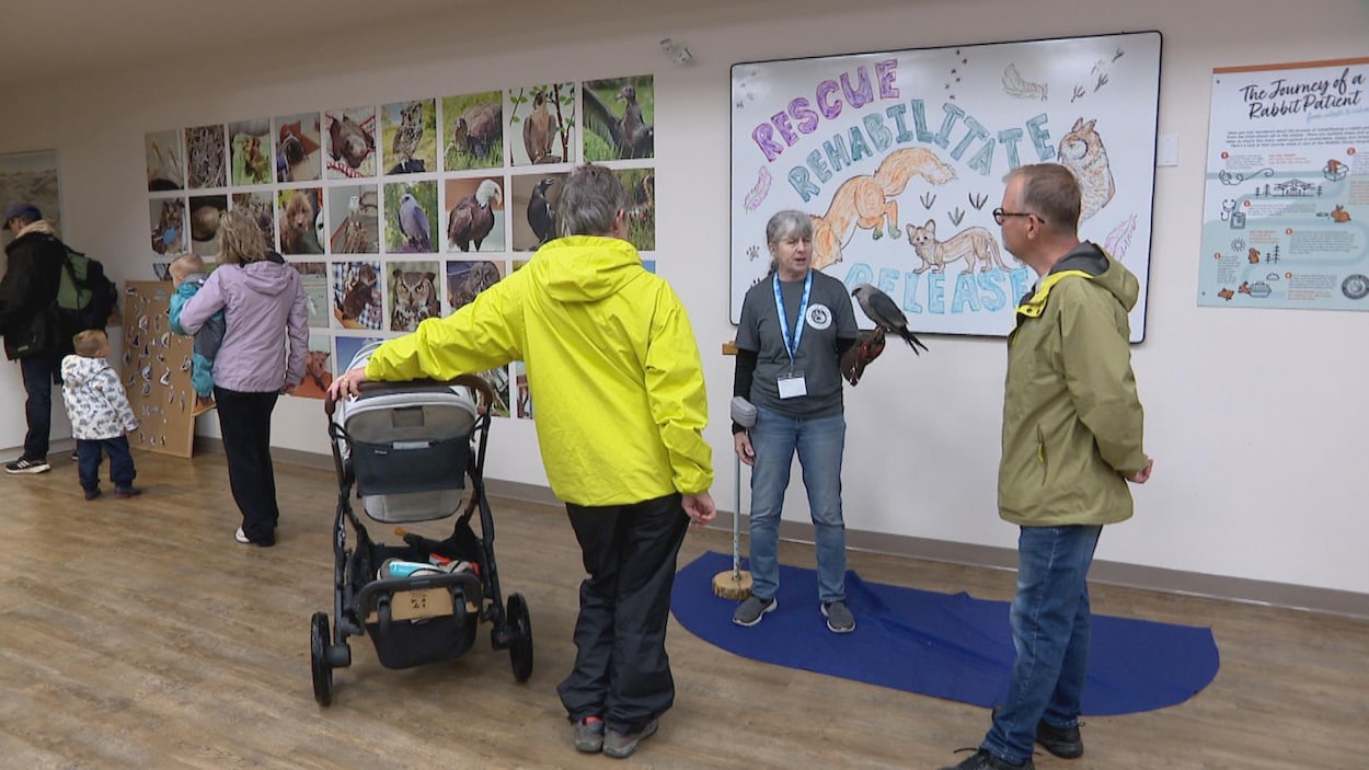 À la découverte du refuge pour animaux sauvages
