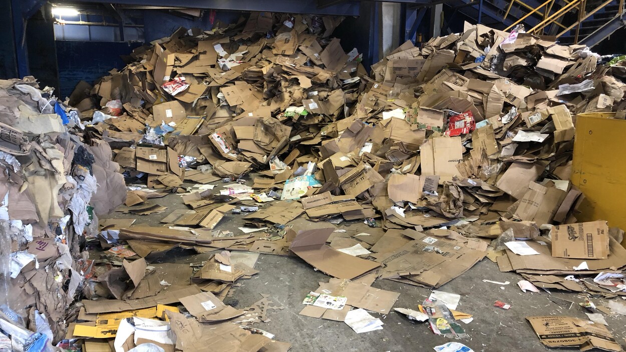 Du papier et du carton empilés dans un centre de tri.