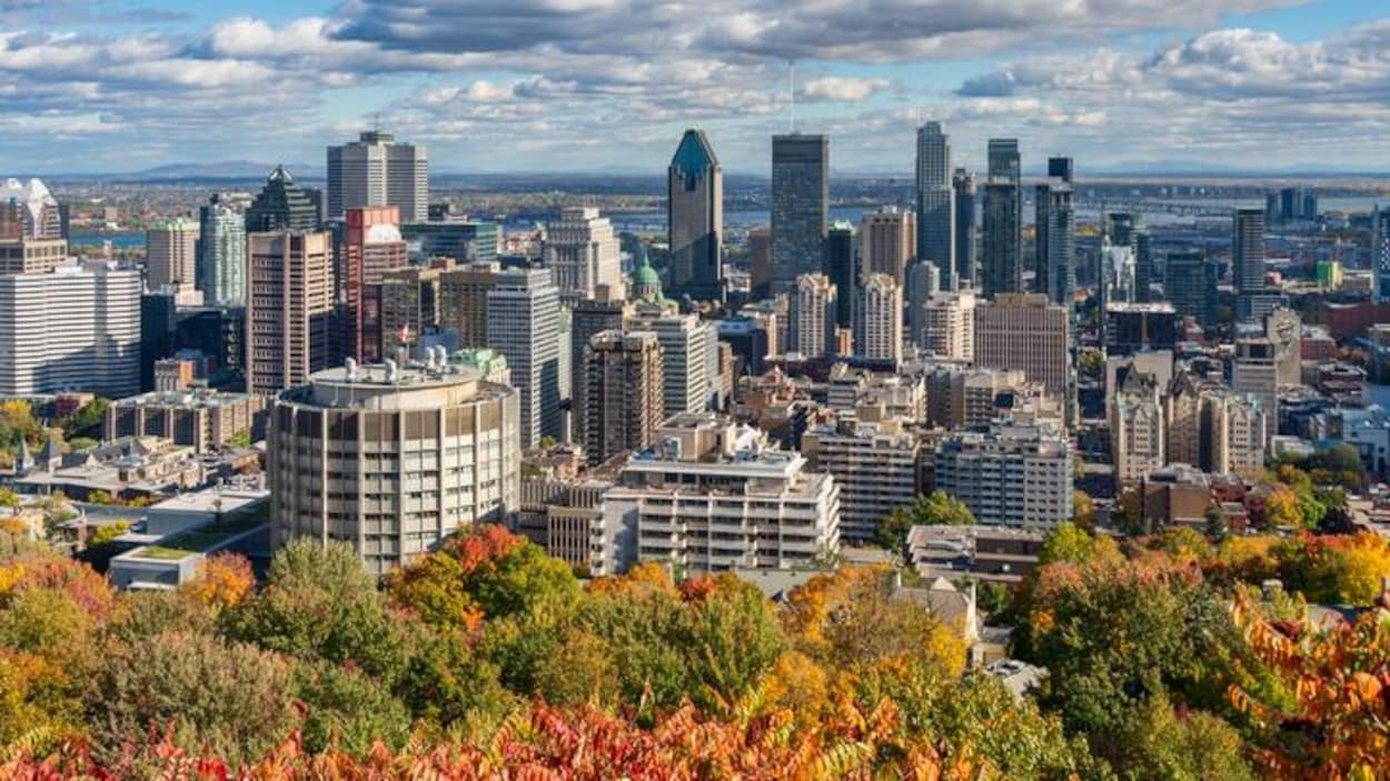 Rate This City: Day 72 - Montreal Canada | Sports, Hip Hop ...